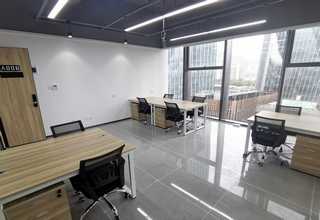 锅炉氮氧化物转换器转化炉