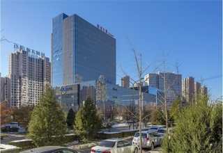 安徽木质活性炭采购