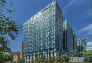 焙烤零食土豆雪花全粉价格