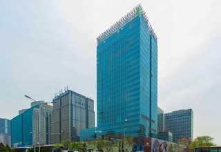 山西节气城镇绿化苗种植表