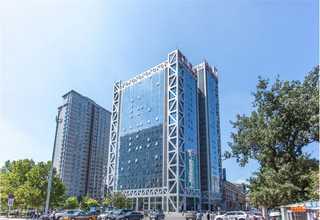 怀化便宜猫粮零食营养品售价